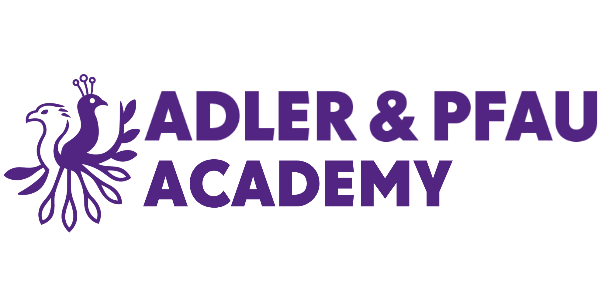 Adler & Pfau Academy